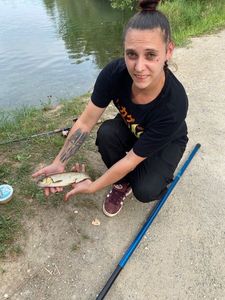 Chub