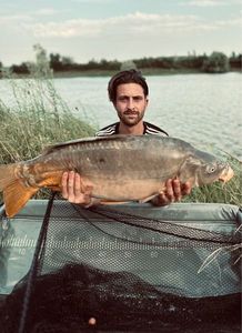 Common Carp