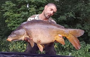 Mirror Carp