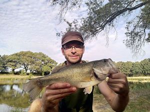 Largemouth Bass