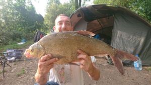 Common Bream