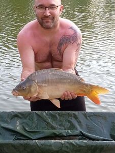 Common Carp