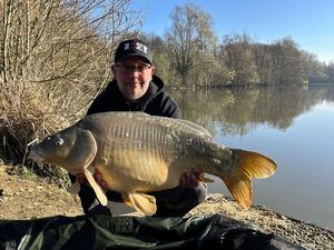 Mirror Carp