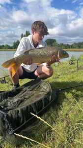 Mirror Carp