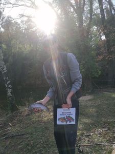 Rainbow Trout