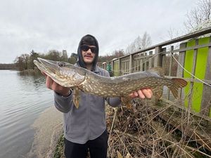 Northern Pike