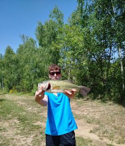 Largemouth Bass