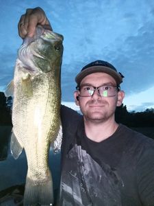 Largemouth Bass