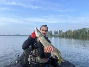 Northern Pike