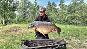 Mirror Carp