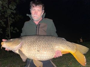 Common Carp