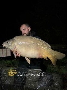 Leather Carp