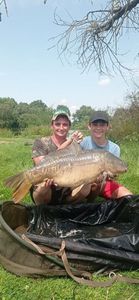Mirror Carp