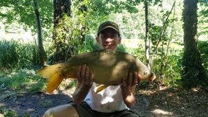 Mirror Carp