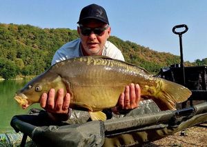 Mirror Carp