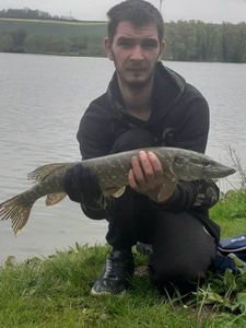 Northern Pike