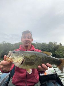 Largemouth Bass