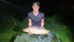 Leather Carp