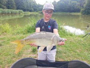 Mirror Carp