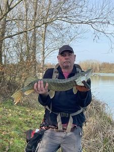 Northern Pike
