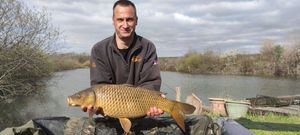 Common Carp