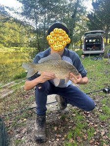 Crucian Carp