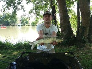 Grass Carp