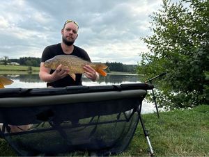 Mirror Carp