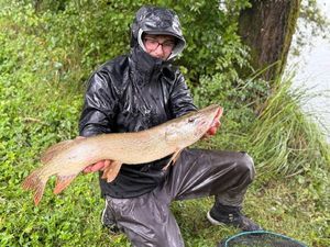 Northern Pike