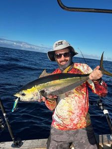 Yellowfin Tuna