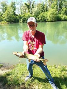Northern Pike