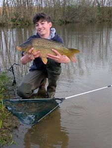 Common Carp