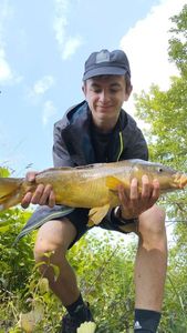 Mirror Carp