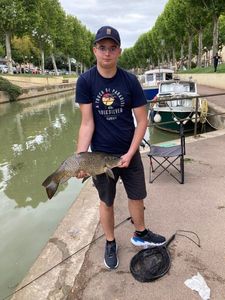 Leather Carp