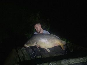 Mirror Carp