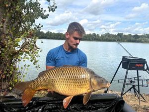 Common Carp