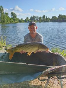 Common Carp