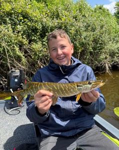Northern Pike