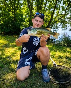 Largemouth Bass