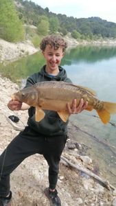 Mirror Carp