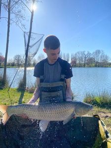 Grass Carp