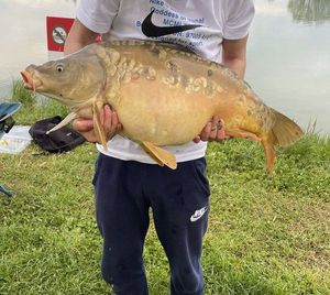 Mirror Carp