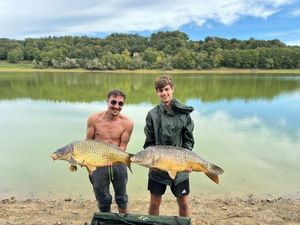 Common Carp