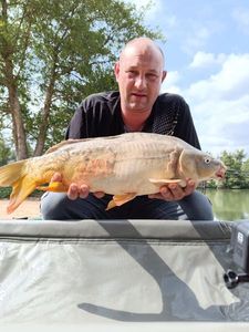 Mirror Carp