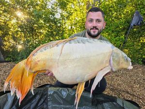 Mirror Carp
