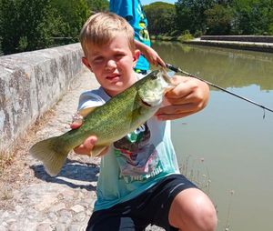 Largemouth Bass