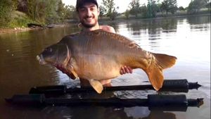 Mirror Carp