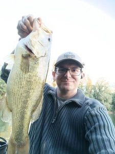 Largemouth Bass
