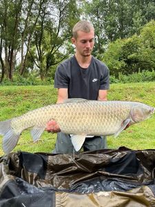 Grass Carp