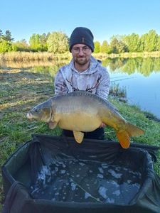 Mirror Carp